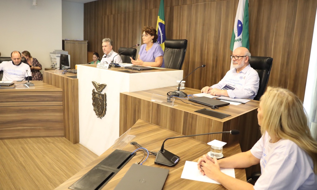 Cristina Silvestri preside a audiência (Foto: Ascom parlamentar)