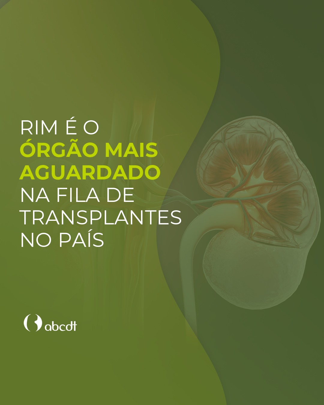 Rim é o órgão mais arguadado na fila de transplante no país