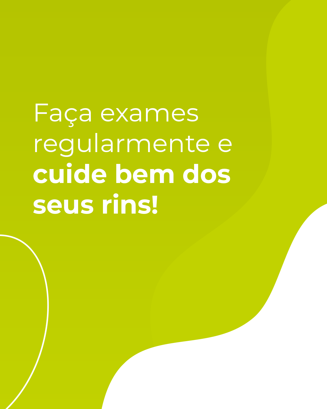 Como estão seus rins (4)