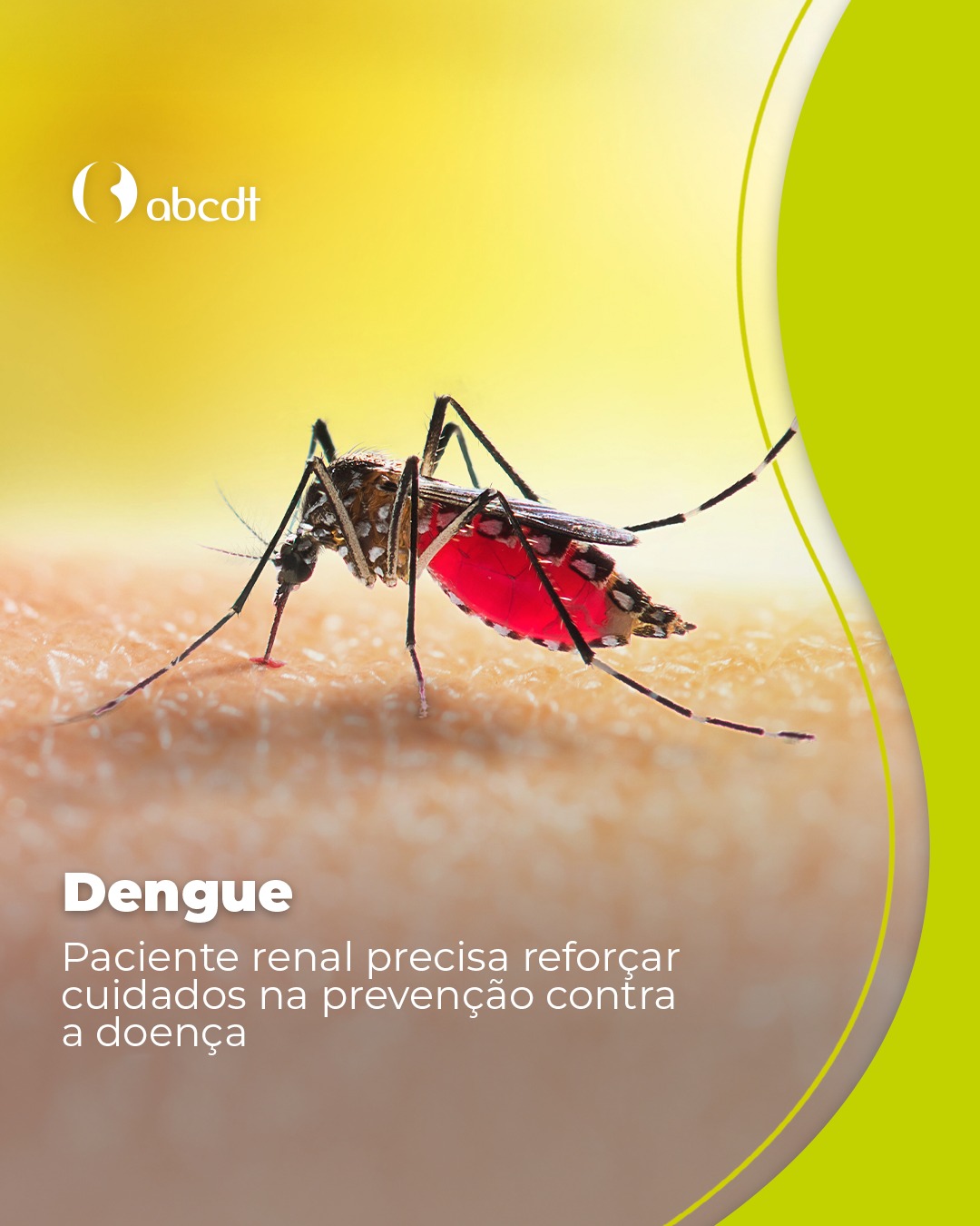 Dengue, paciente renal precisa reforçar cuidados na prevenção contra a doença