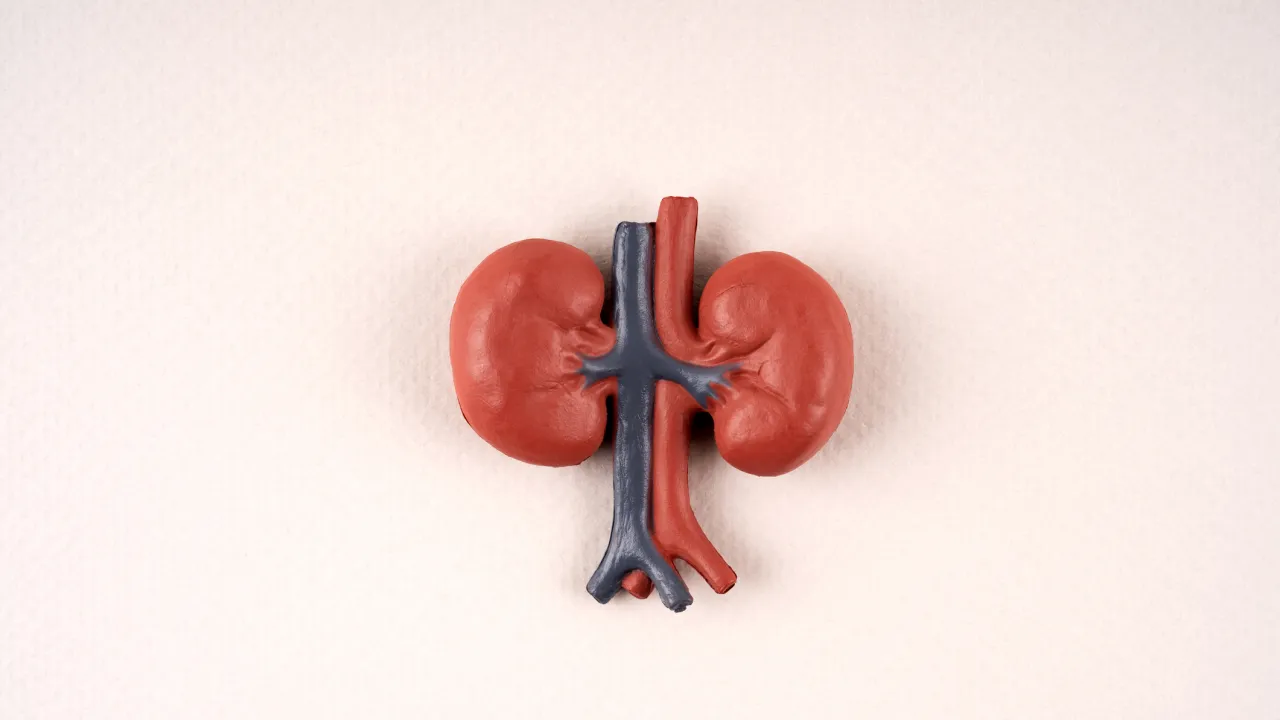 Doença renal crônica por que poucos pacientes fazem diálise peritoneal