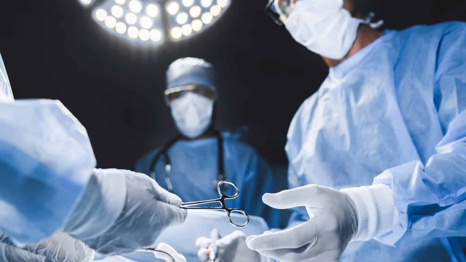 EUA autorizam transplantes de rim de porco em humanos