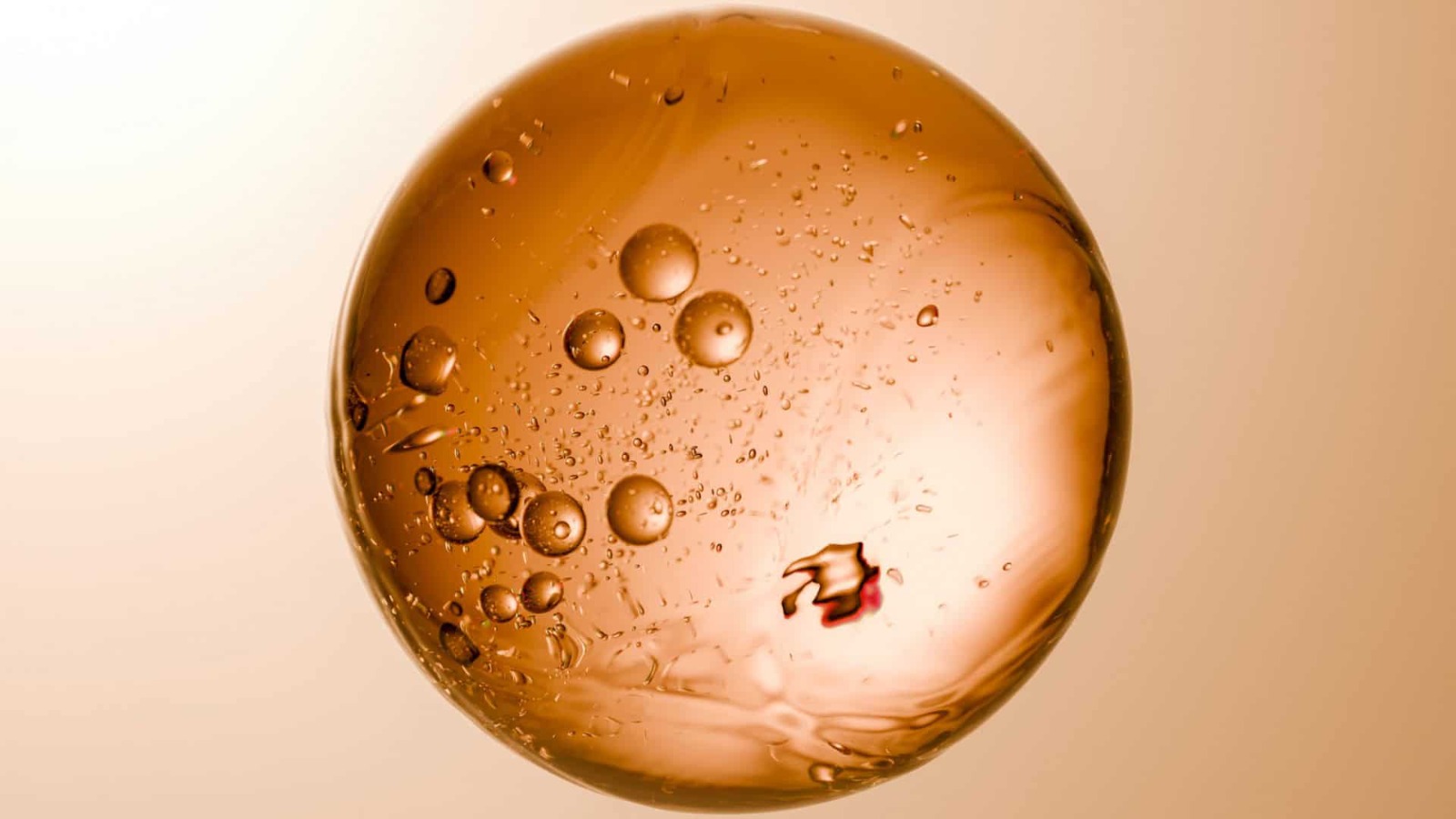 Transplantes do futuro Pesquisadores criam minirrins em laboratório