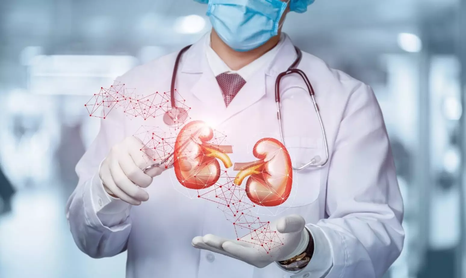 Insuficiência renal o que leva à perda da função dos rins