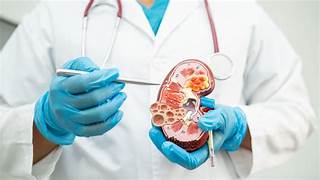 Mais de 170 mil brasileiros vivem em diálise por doença renal crônica