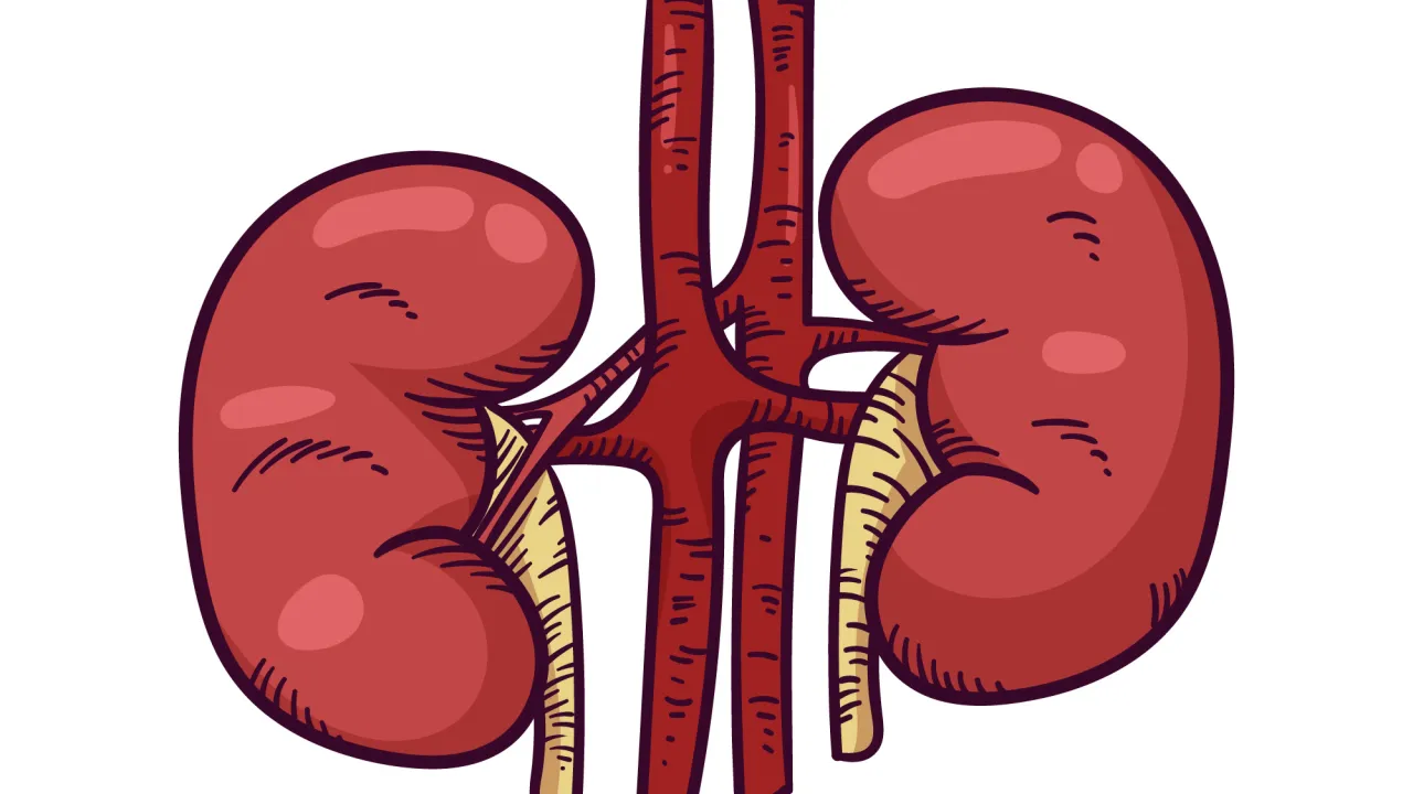 Mês de março reforça alerta para elo entre obesidade e doença renal
