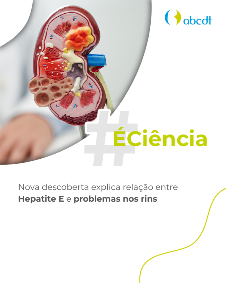 Nova descoberta explica relação entre Hepatite E e problemas nos rins